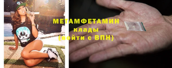 шишки Белокуриха