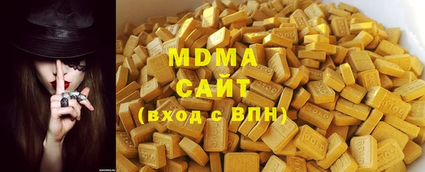 шишки Белокуриха