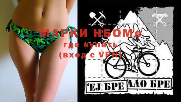 шишки Белокуриха